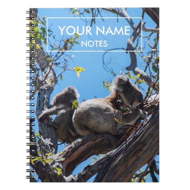 Cuaderno Koalas personalizado (Frente)