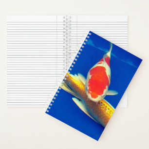 Cuaderno Koi Coloridos en Estanque Azul