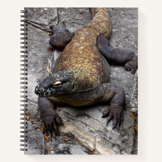 Cuaderno Komodo Dragon Nature Journal (Anverso)