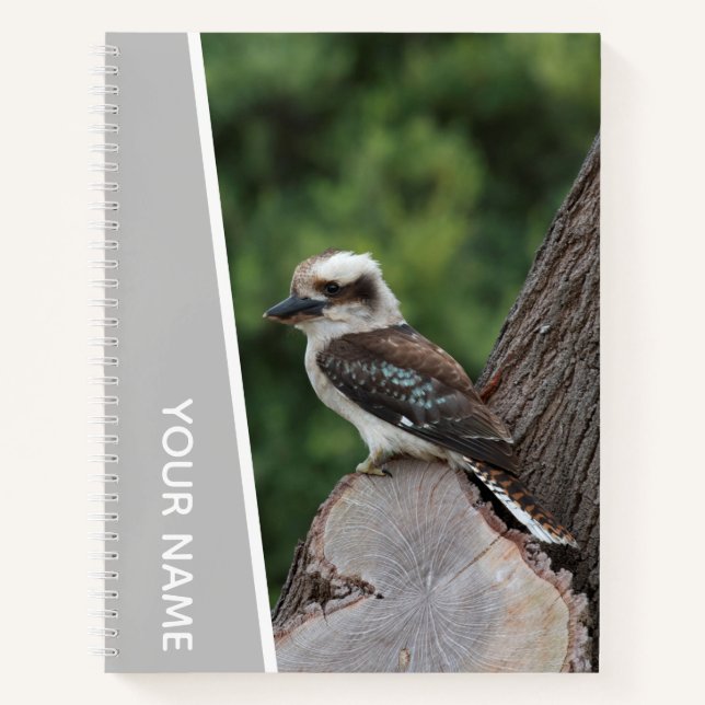 Cuaderno Kookaburra Australia Pájaro riendo, Plata (Anverso)