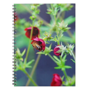 Cuaderno La abeja con la flor roja