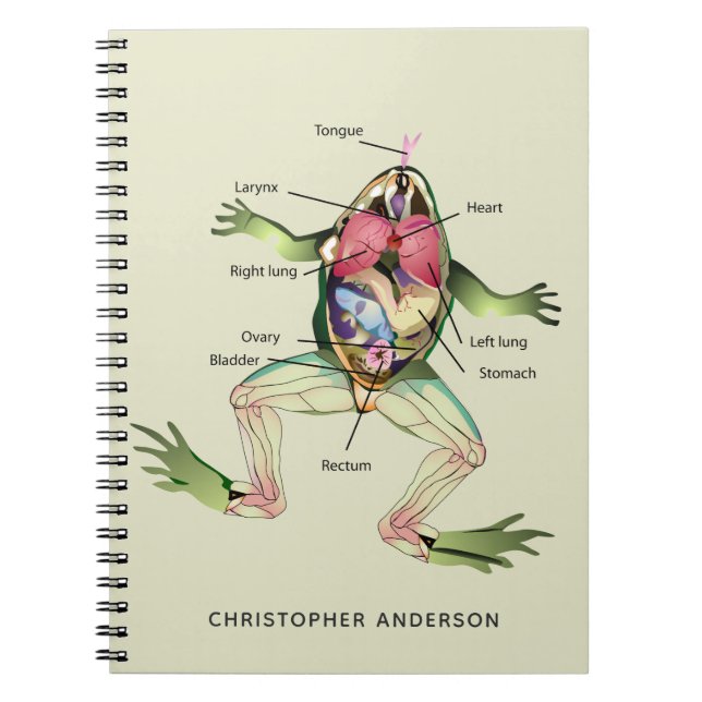 Cuaderno La anatomía de la rana es personalizada (Frente)