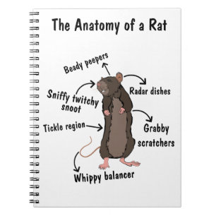 Cuaderno La anatomía de una rata