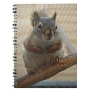 Cuaderno La ardilla de la camada