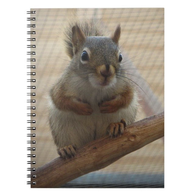 Cuaderno La ardilla de la camada (Frente)