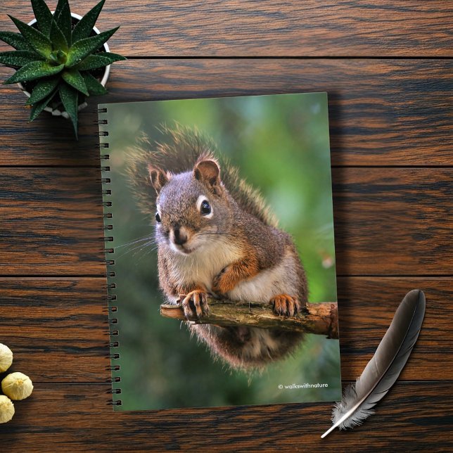 Cuaderno La ardilla roja Saucy en el filo (Saucy Red Squirrel Sitting in the Fir Journal Cover Photo)