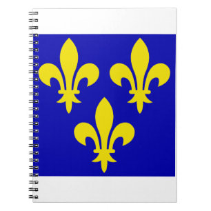 Cuaderno La bandera medieval de Francia