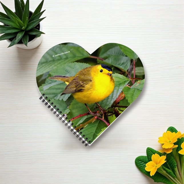Cuaderno La bella Warbler de Wilson en el árbol de cerezos (Beautiful Wilson's Warbler on the Branch Journal Cover Photo)