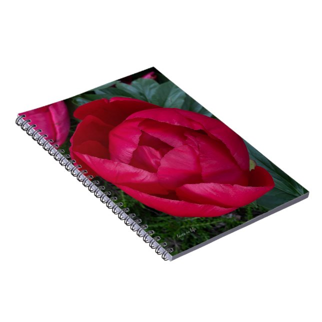 Cuaderno La bella y floreciente Peonia Roja (Lado Derecho)