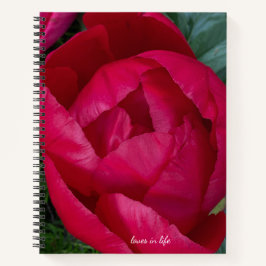 Cuaderno La bella y floreciente Peonia Roja