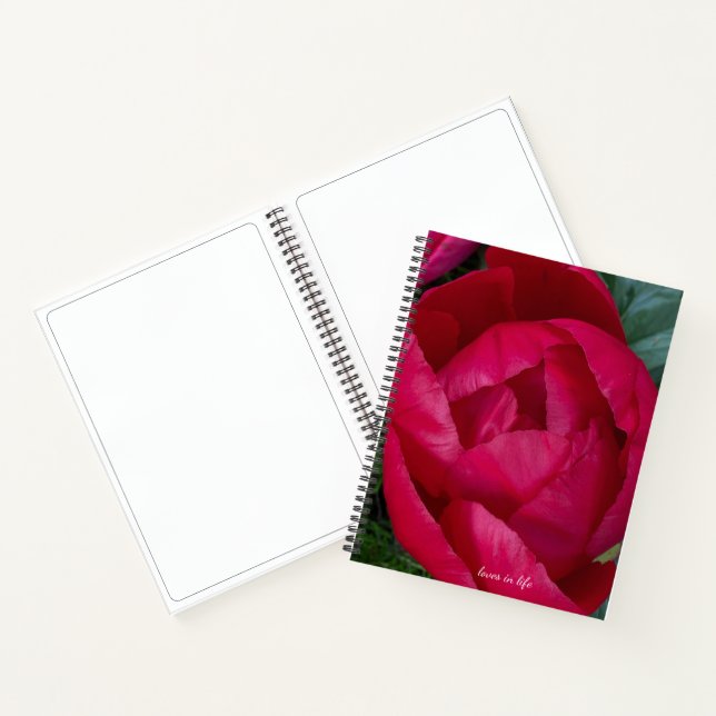 Cuaderno La bella y floreciente Peonia Roja (Interior)