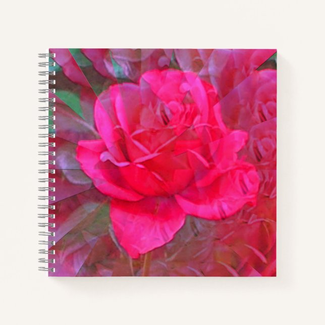 Cuaderno La belleza está en..... (Anverso)