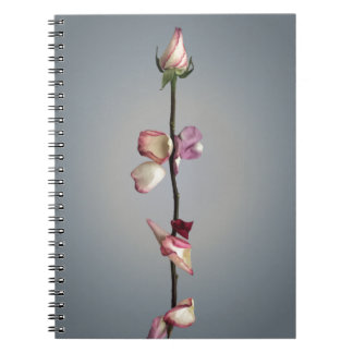 Cuaderno La belleza Rosa moderna y el sentimiento bestia