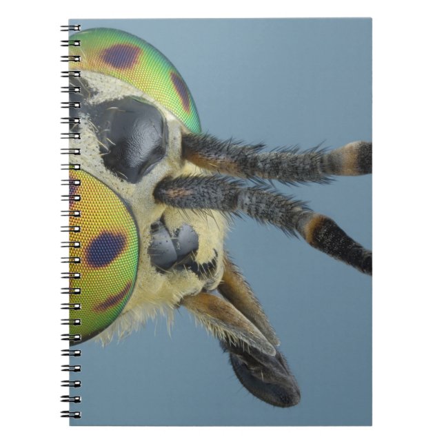 Cuaderno La cabeza de ciervos vuela (Frente)