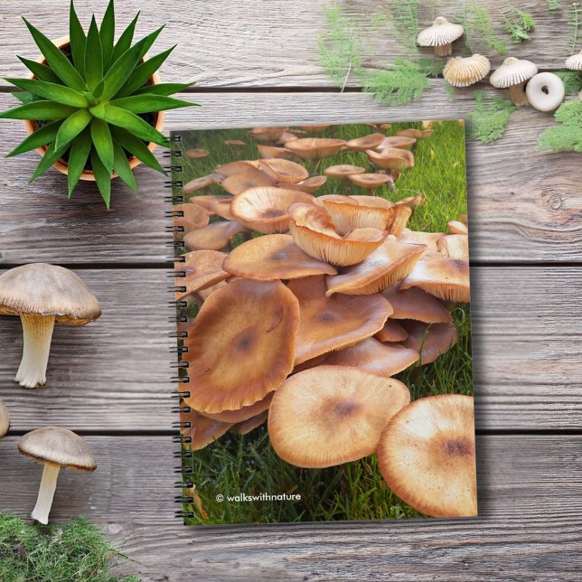Cuaderno La caída de los hongos (The Fall of Mushrooms Journal Cover Photo)