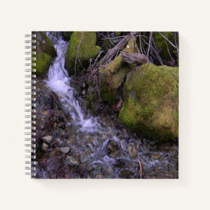 Cuaderno La cascada de Fae....
