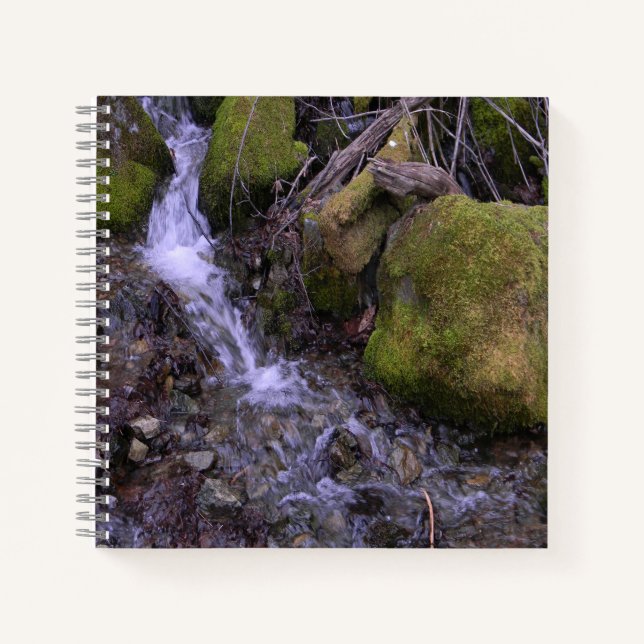 Cuaderno La cascada de Fae.... (Anverso)