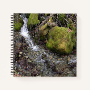 Cuaderno La cascada de la Fae....