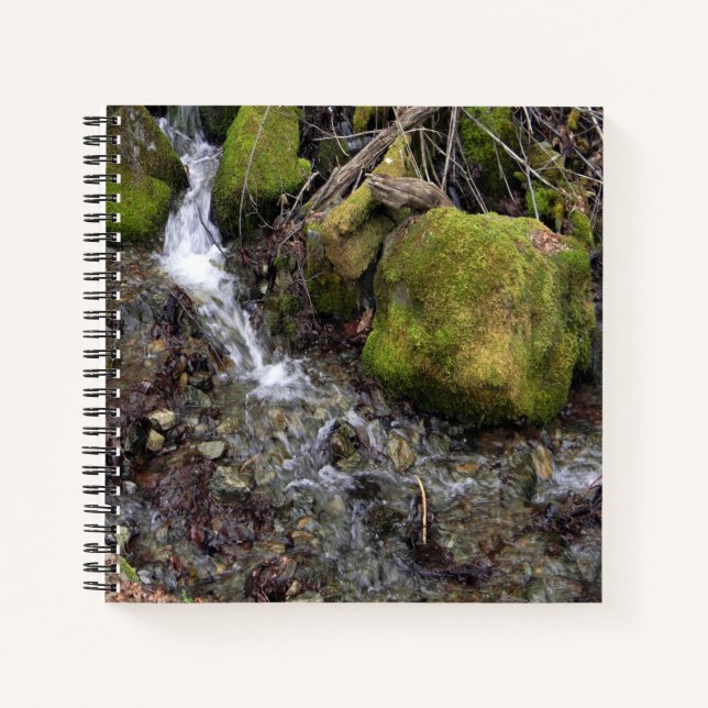 Cuaderno La cascada de la Fae.... (Anverso)