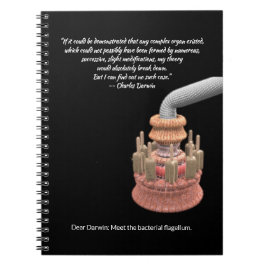 Cuaderno La concesión de Darwin y el flancel bacteriano