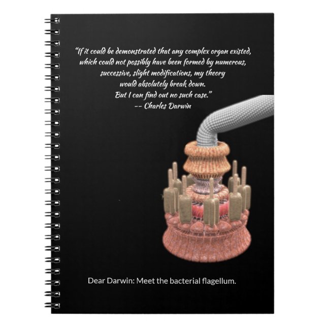 Cuaderno La concesión de Darwin y el flancel bacteriano (Frente)