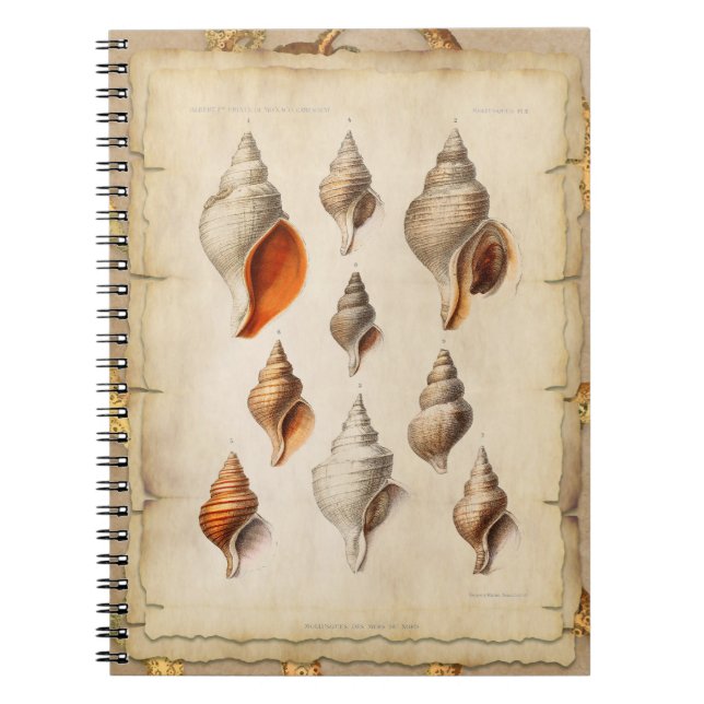 Cuaderno La concha de la profundidad (Frente)