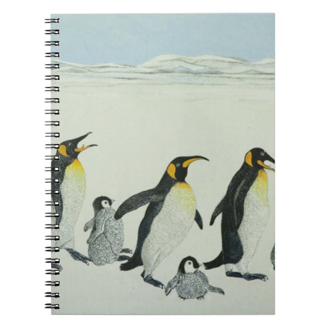 Cuaderno La curva de aprendizaje (Frente)