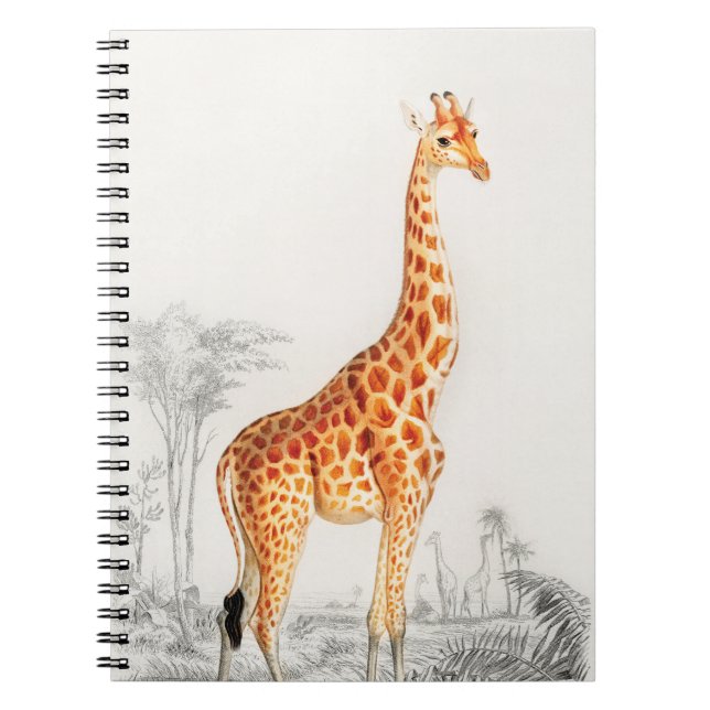 Cuaderno La elegante jirafa (Frente)