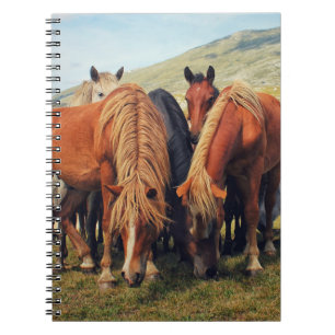 Cuaderno La escena natural de Livno de Caballos Salvajes
