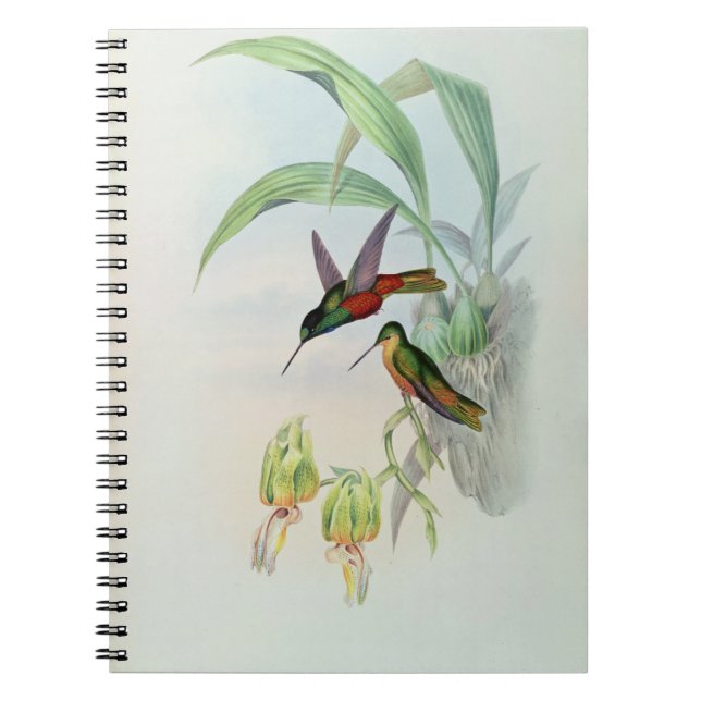 Cuaderno La estrella de Bonaparte afrontó el colibrí (Frente)