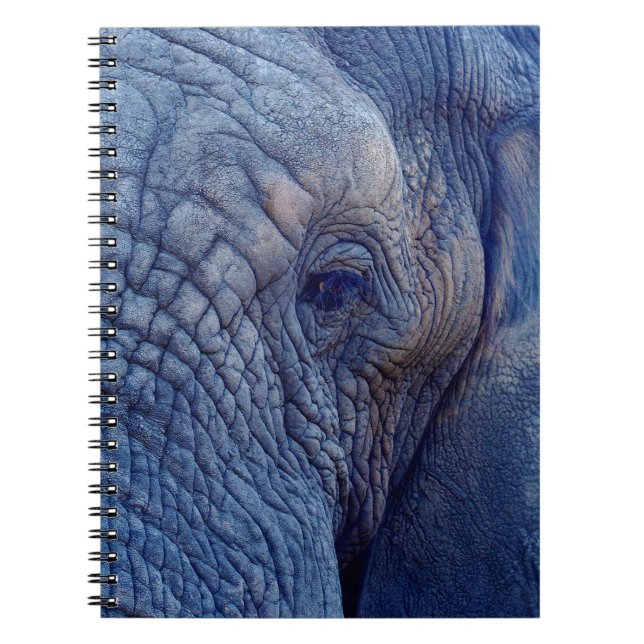 CUADERNO LA EXPERIENCIA CAMINA CON LOS ELEFANTES QUÉ HAY DE (Frente)