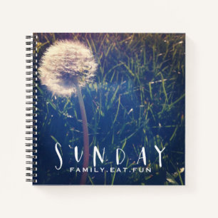 Cuaderno La familia dominical come diversión