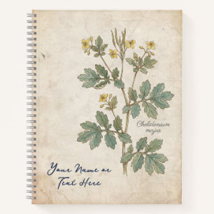 Cuaderno La Flor del Alquimista: Chelidonium Majus Botánico