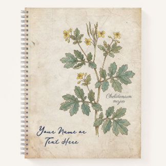 Cuaderno La Flor del Alquimista: Chelidonium Majus Botánico
