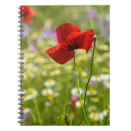Cuaderno - La Foto de la Amapola Roja