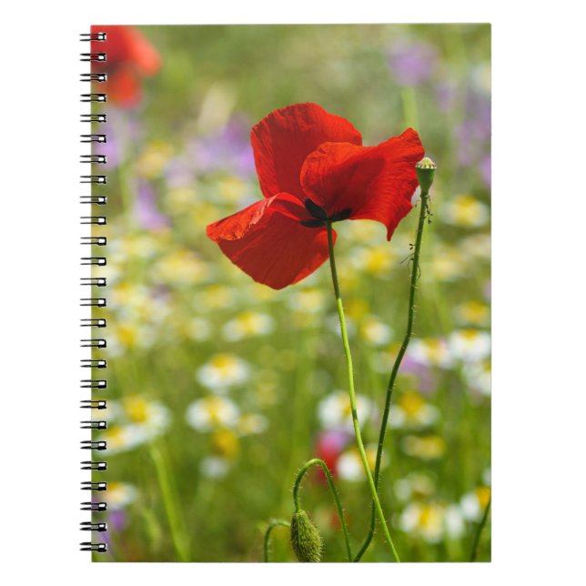 Cuaderno - La Foto de la Amapola Roja (Frente)
