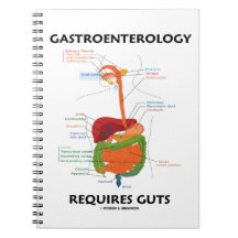 Páginas de cuaderno del sistema digestivo