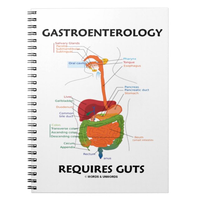 Cuaderno La Gastroenterología Requiere Un Sistema Digestivo (Frente)