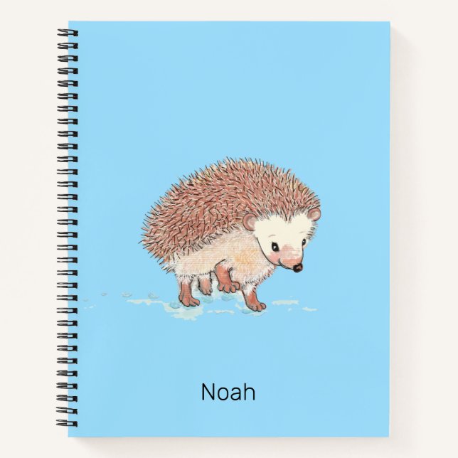 Cuaderno La gran aventura de Hedgehog (Anverso)