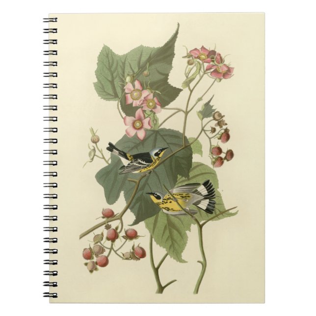 Cuaderno La guerra de Magnolia de Audubon (Frente)