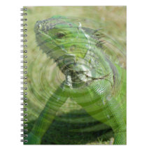 La Iguana Verde
