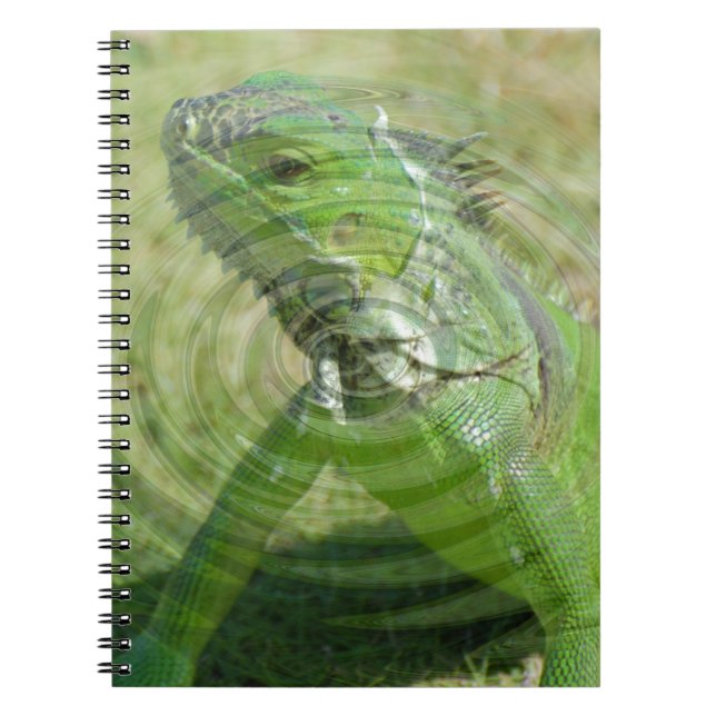 Cuaderno La iguana verde (Frente)