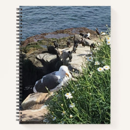 Cuaderno La Jolla Cove, California