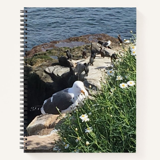 Cuaderno La Jolla Cove, California (Anverso)