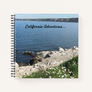 Cuaderno La Jolla Cove, California