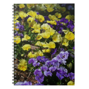 Cuaderno La ladera de los Pansies morado y amarillo