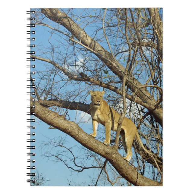 Cuaderno La leona en un árbol (Frente)