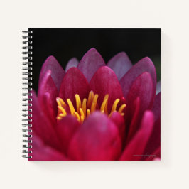 Cuaderno La Lirio del Agua