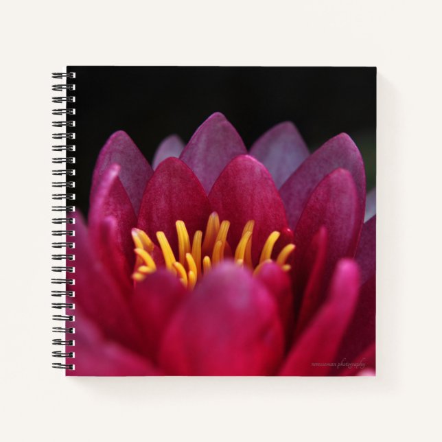 Cuaderno La Lirio del Agua (Anverso)