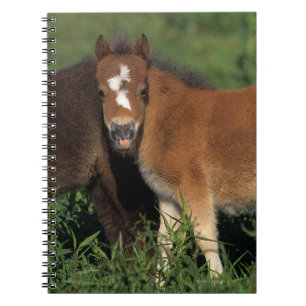 Cuaderno La miniatura pare en hierba
